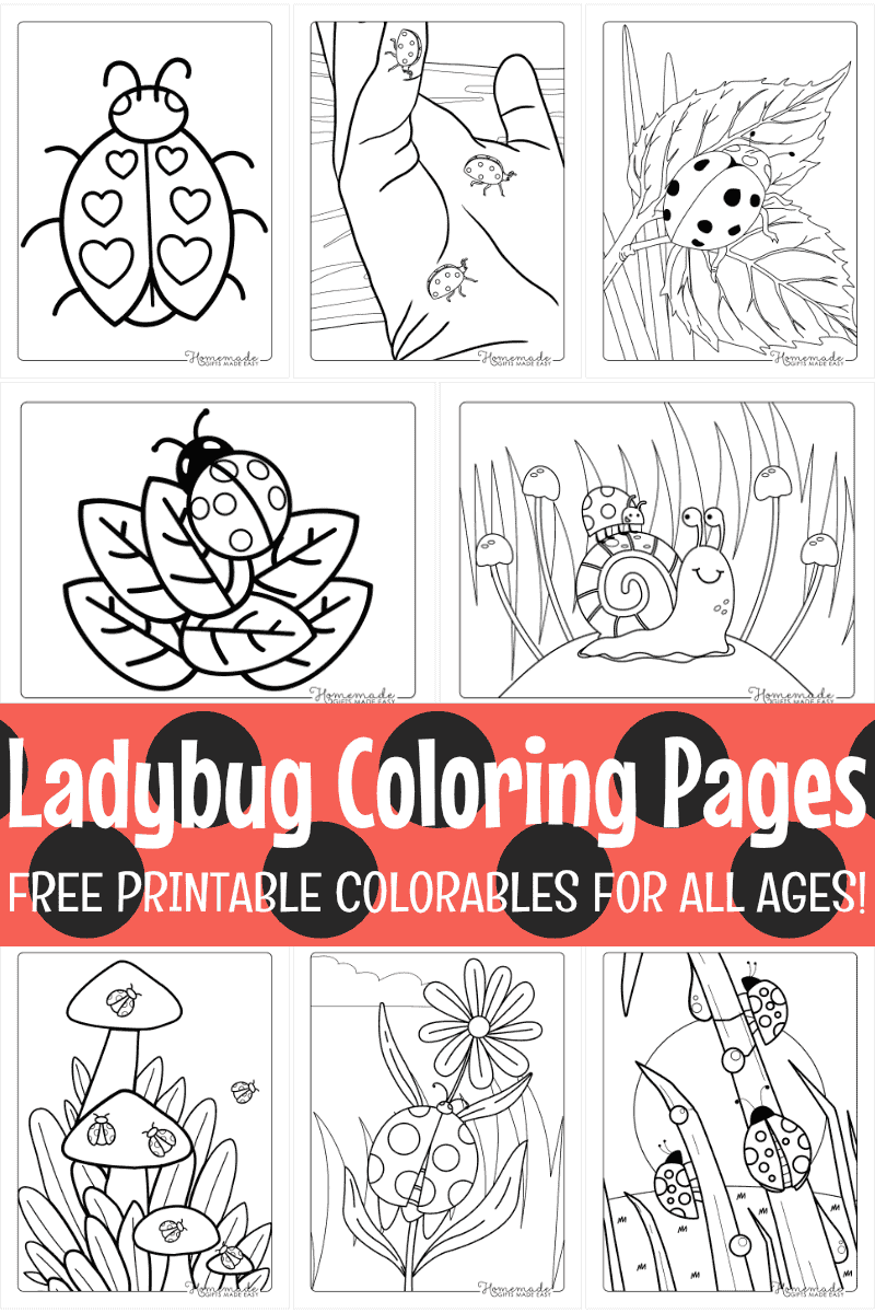 Free Ladybug Coloring Pages Printable PDFs 