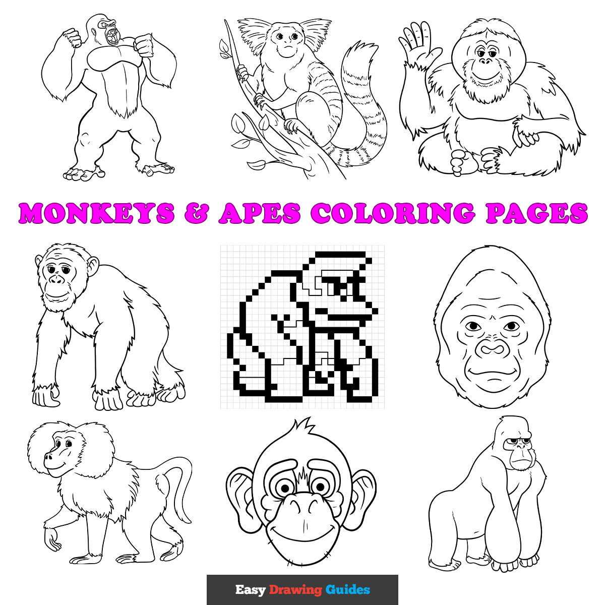 Free Monkeys Apes Coloring Pages For Kids 11 Printable Sheets