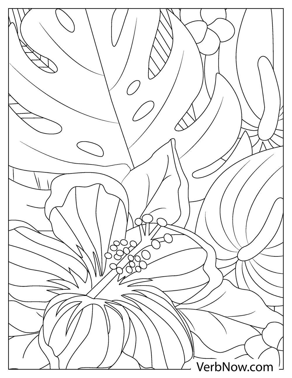 Plant Printable Coloring Pages