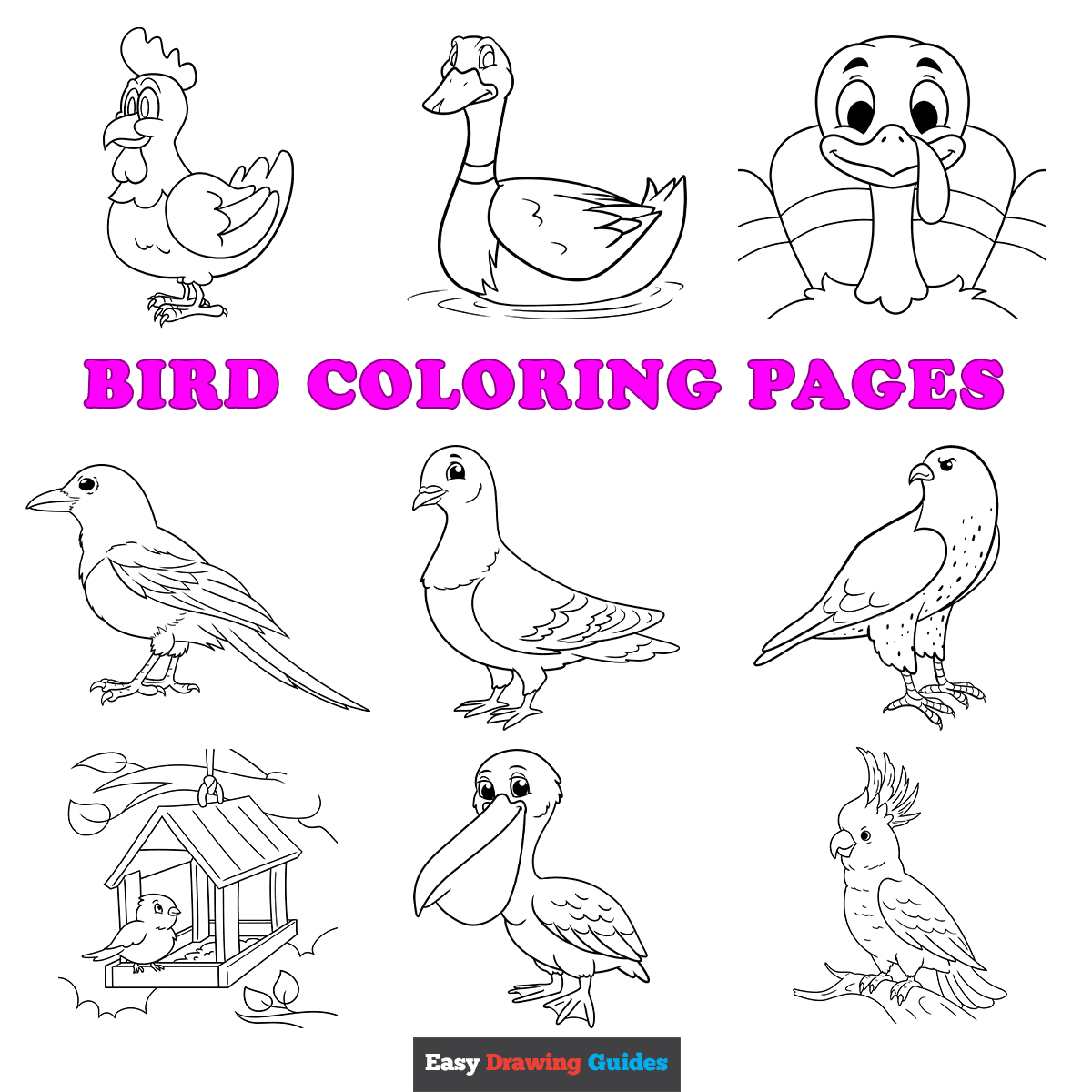 Free Coloring Pages Of Birds