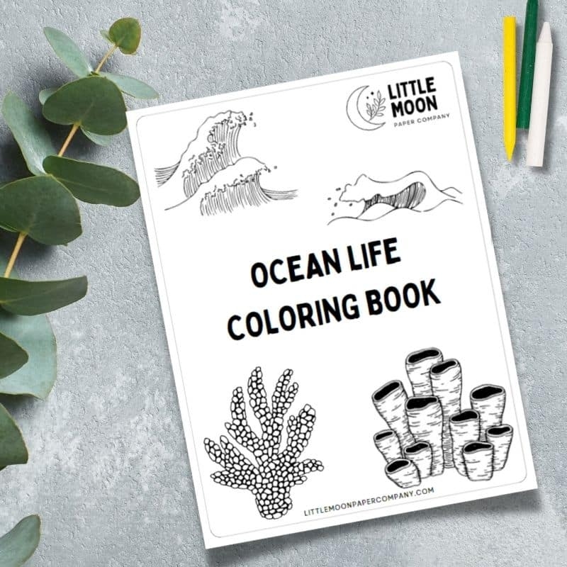 Free Printable Ocean Life Coloring Pages