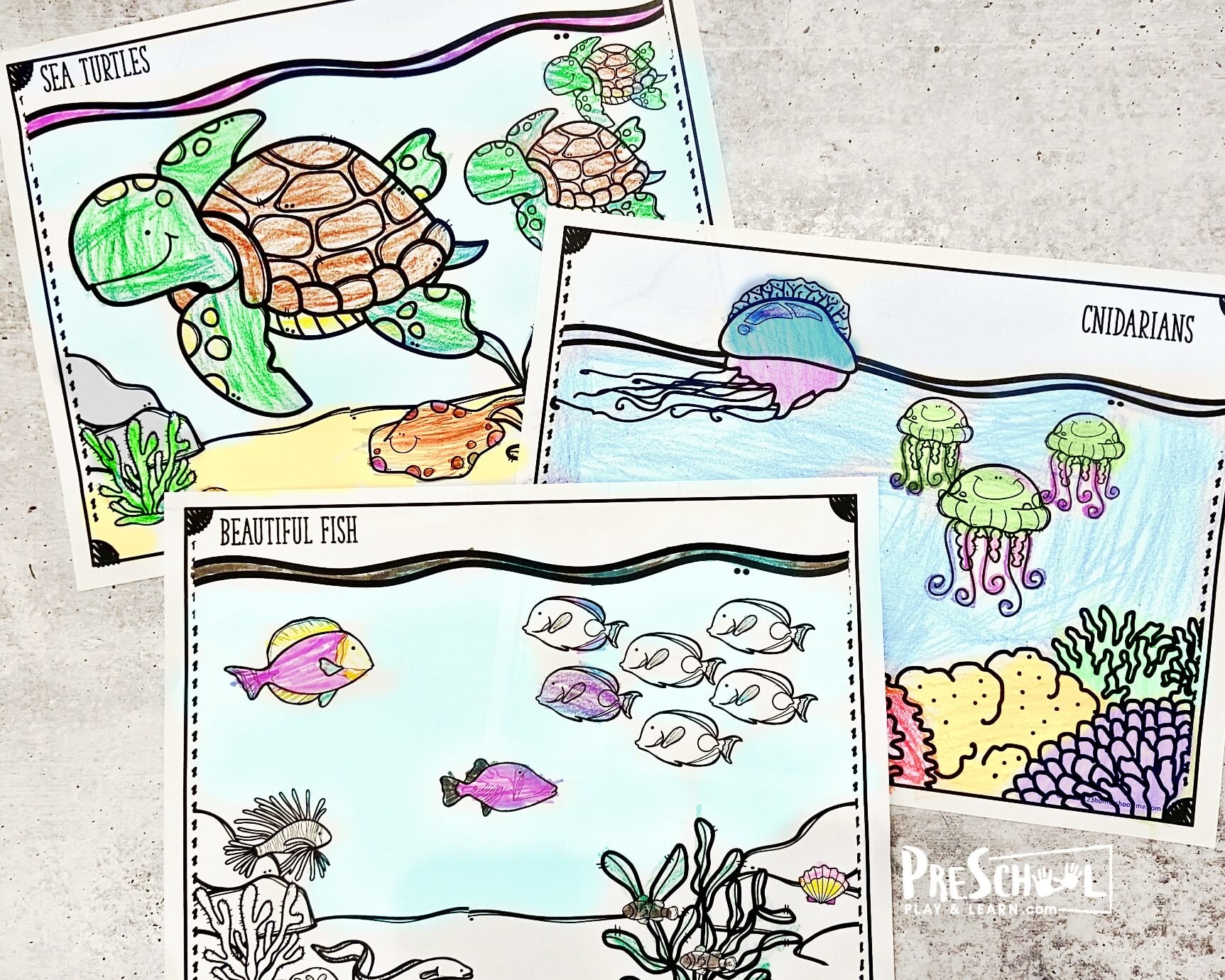 Ocean Free Coloring Pages