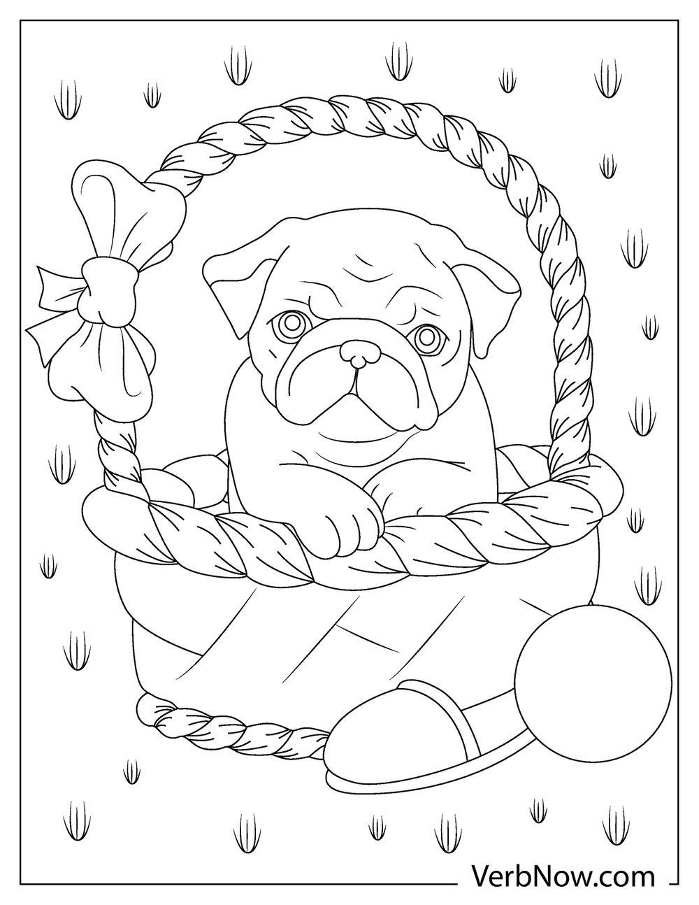 Free PUG DOG Coloring Pages For Download Printable PDF 