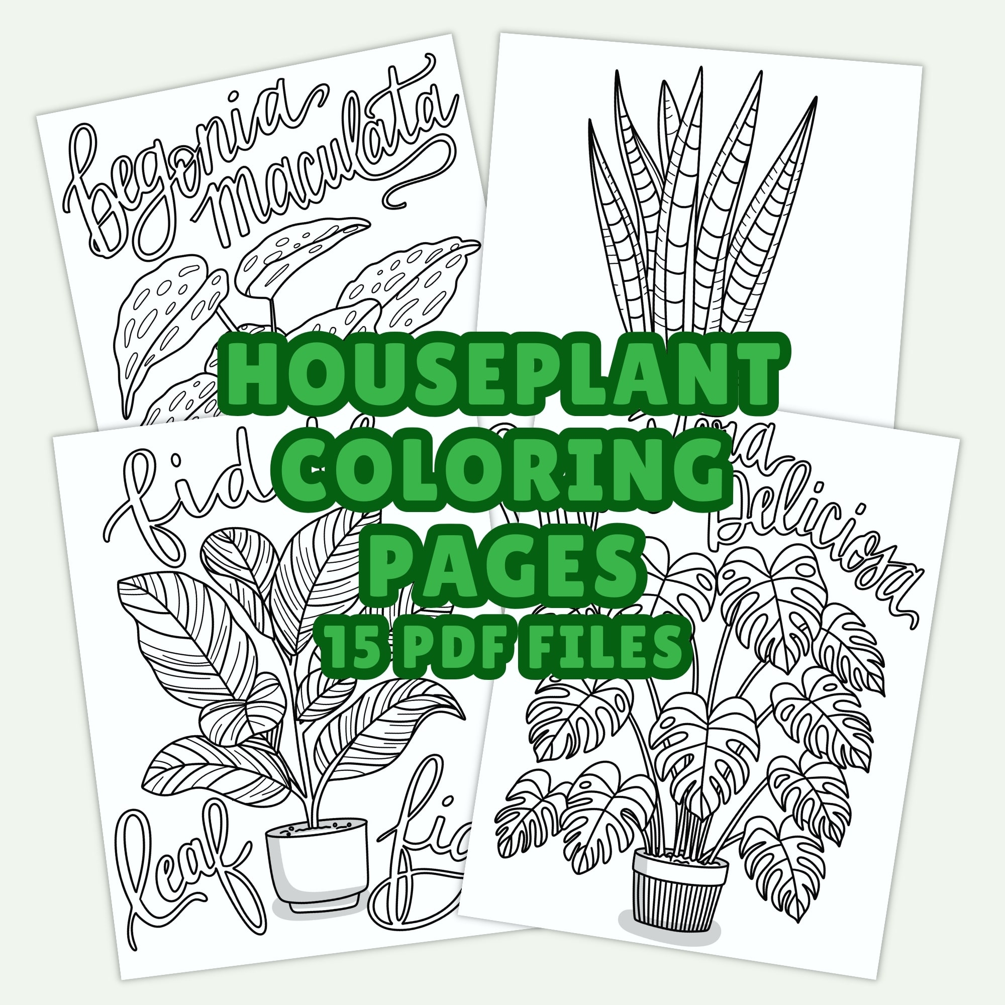 Houseplant Coloring Pages Pineapple Paper Co 