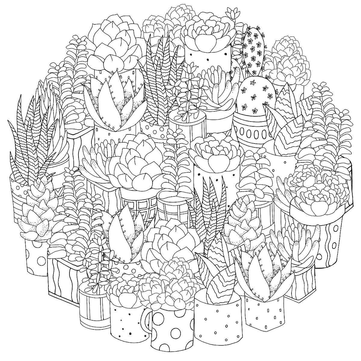 Houseplants Coloring Pages Free Printable Coloring Pages Of Plants For Plant Lovers Printables 30Seconds Mom