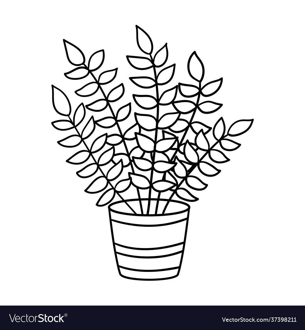 Houseplants Coloring Pages Free Printable Coloring Pages Of Plants For Plant Lovers