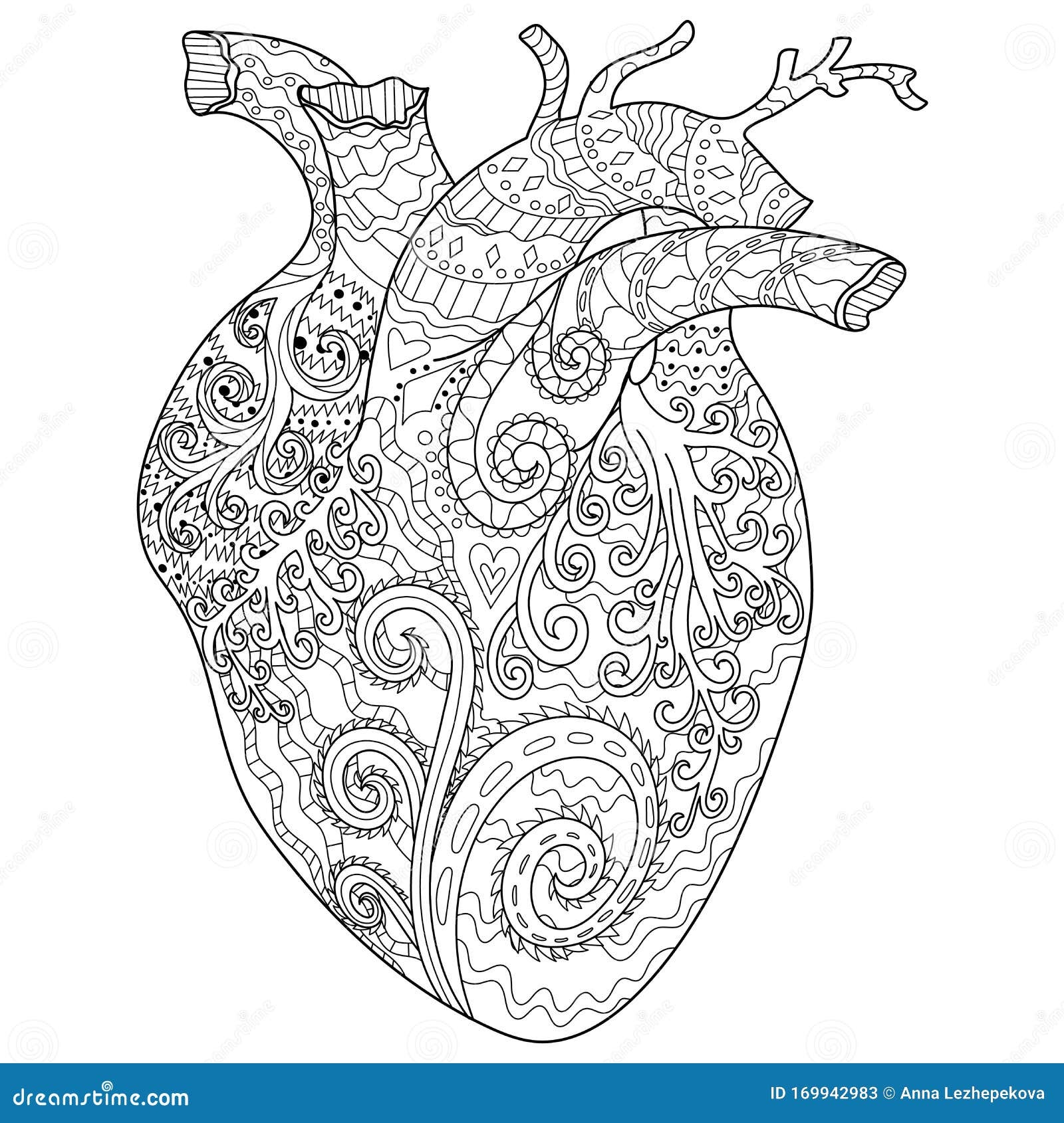 Human Patterned Heart For Coloring Book Stock Vector Illustration Of Heart Isolated 169942983