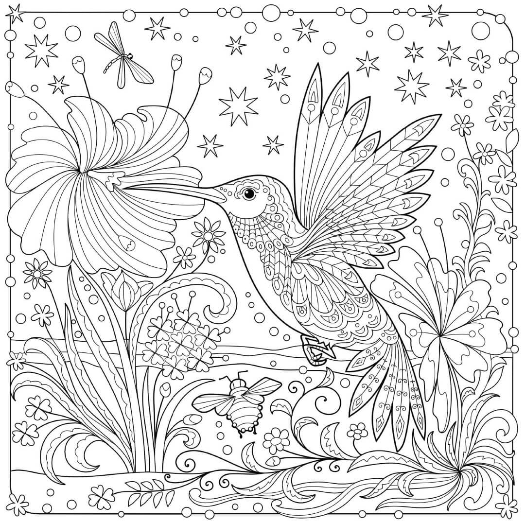 Free Hummingbird Coloring Pages