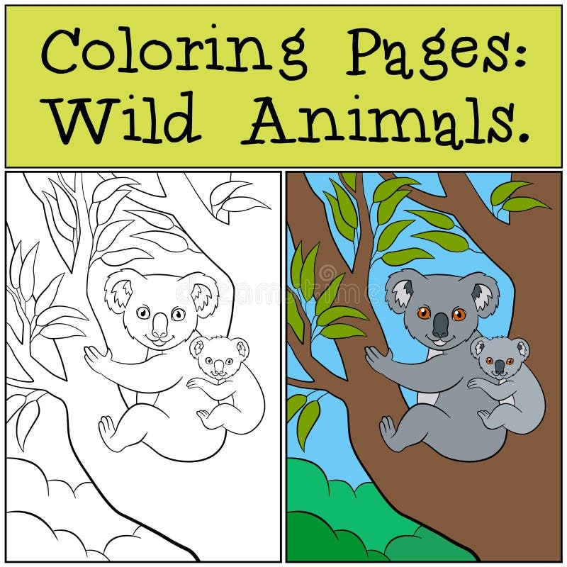 Koala Bear Coloring Pages Stock Illustrations 104 Koala Bear Coloring Pages Stock Illustrations Vectors U0026 Clipart Dreamstime
