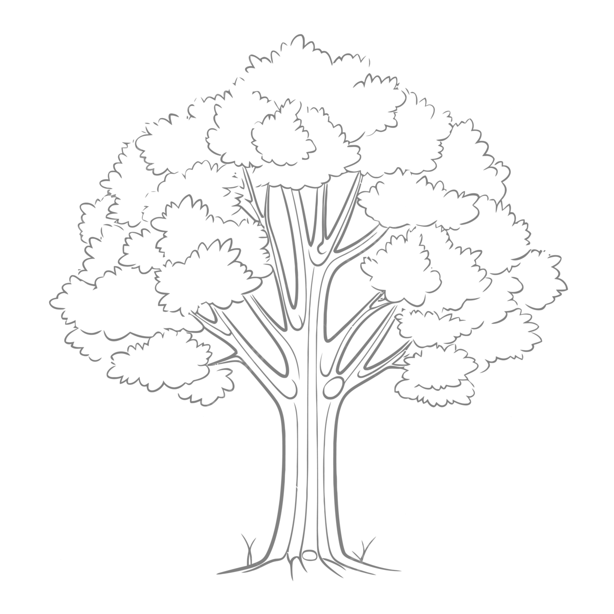 Large Tree Coloring Page Free Printable Coloring Pages Outline 