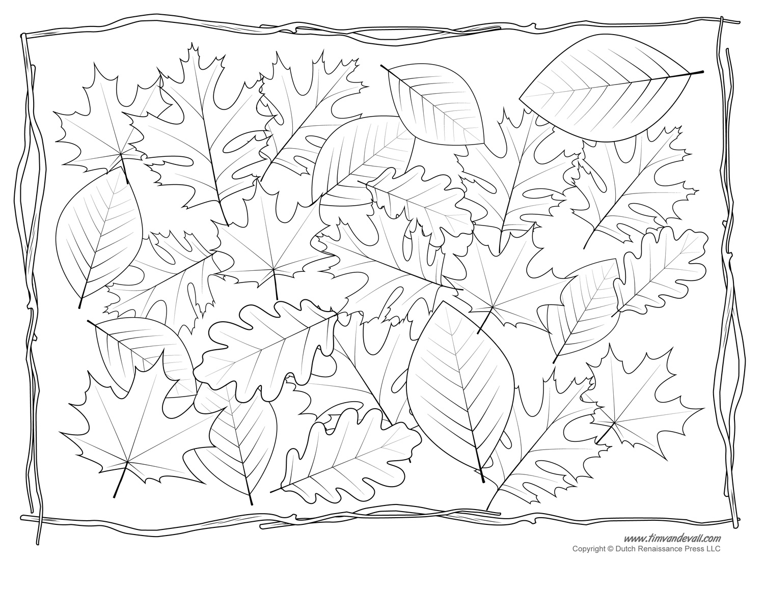 Leaf Coloring Page Tim s Printables