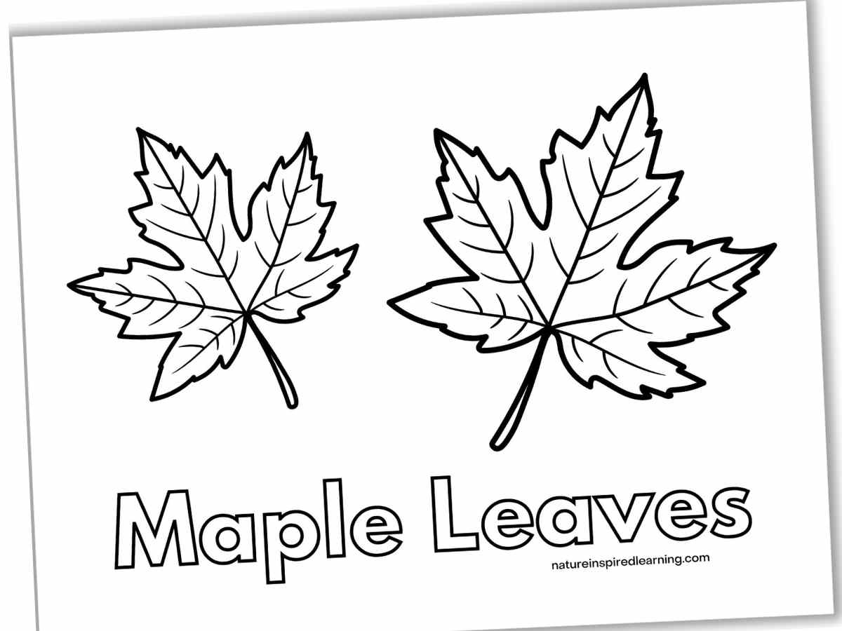 Coloring Pages Leaves Free Printables