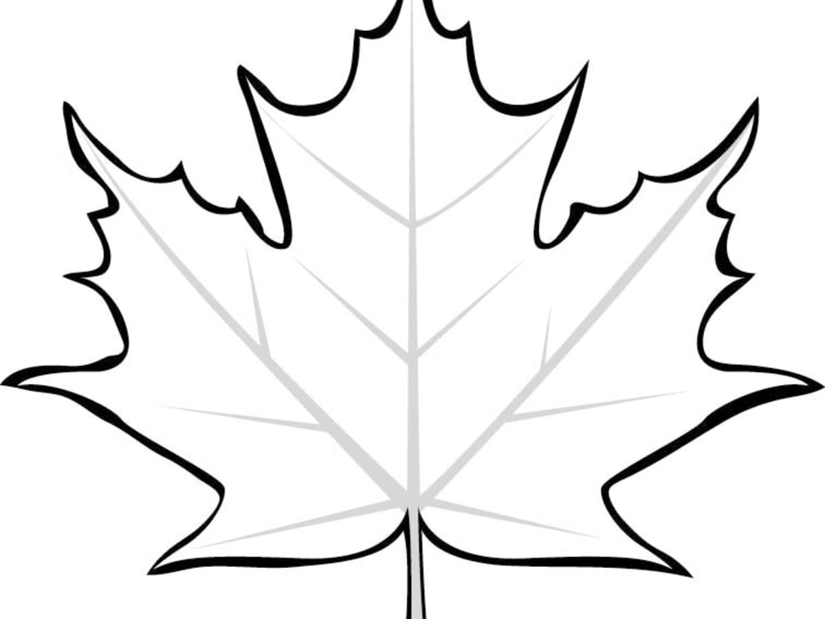 Leaf Printable Coloring Pages HubPages