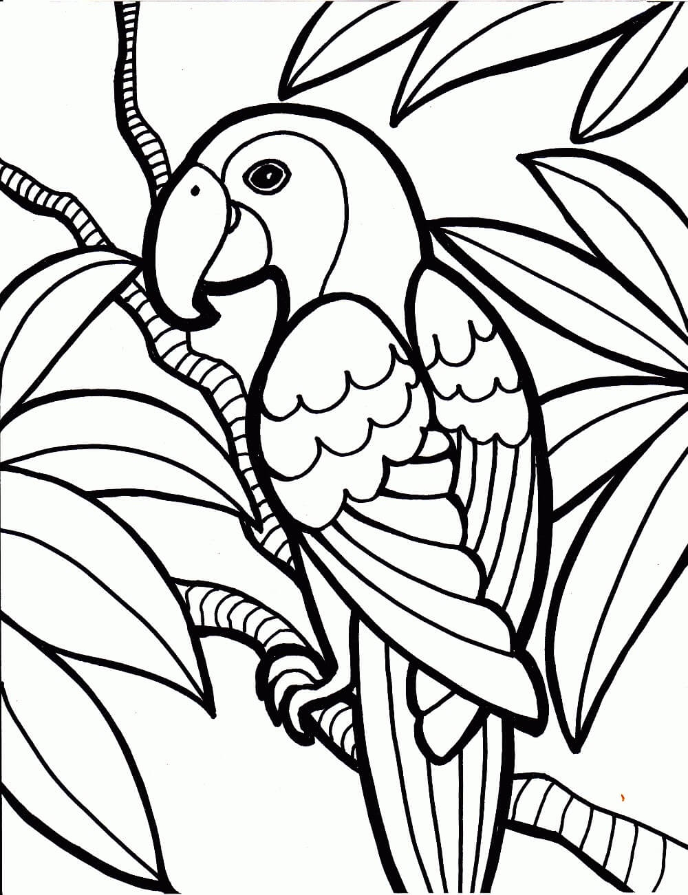 Parrot Coloring Pages Printable Coloring Pages FREE