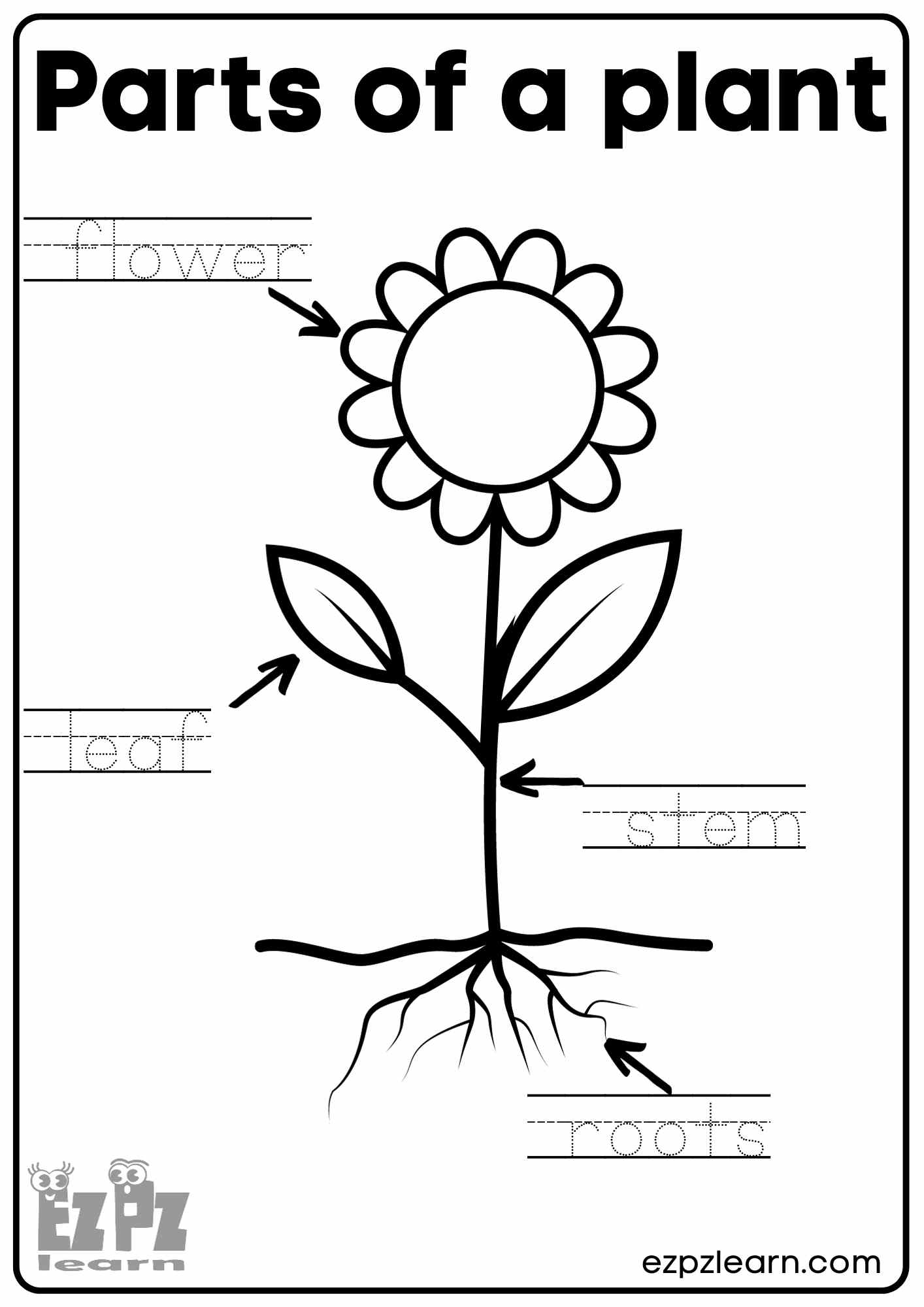 Printable Plant Coloring Pages