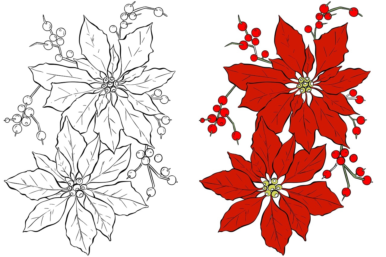 Poinsettia Coloring Page Printable Free