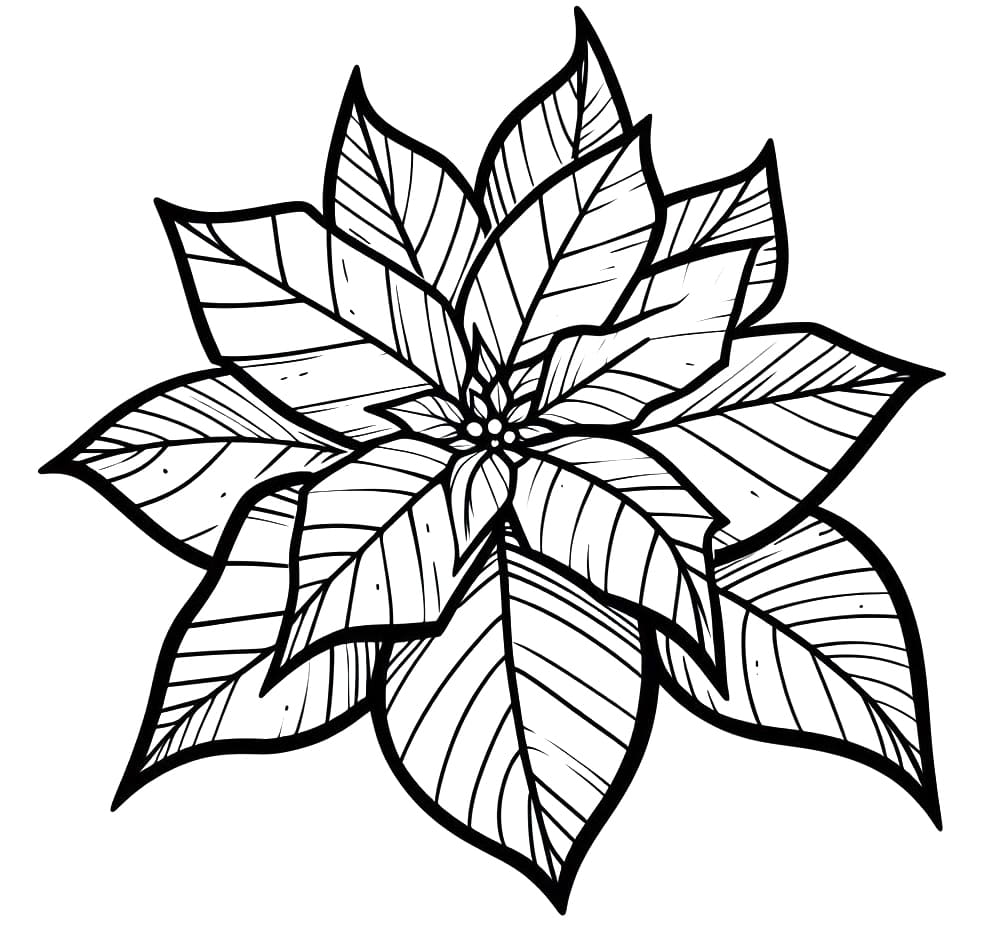 Poinsettia Printable Coloring Page Download Print Or Color Online For Free