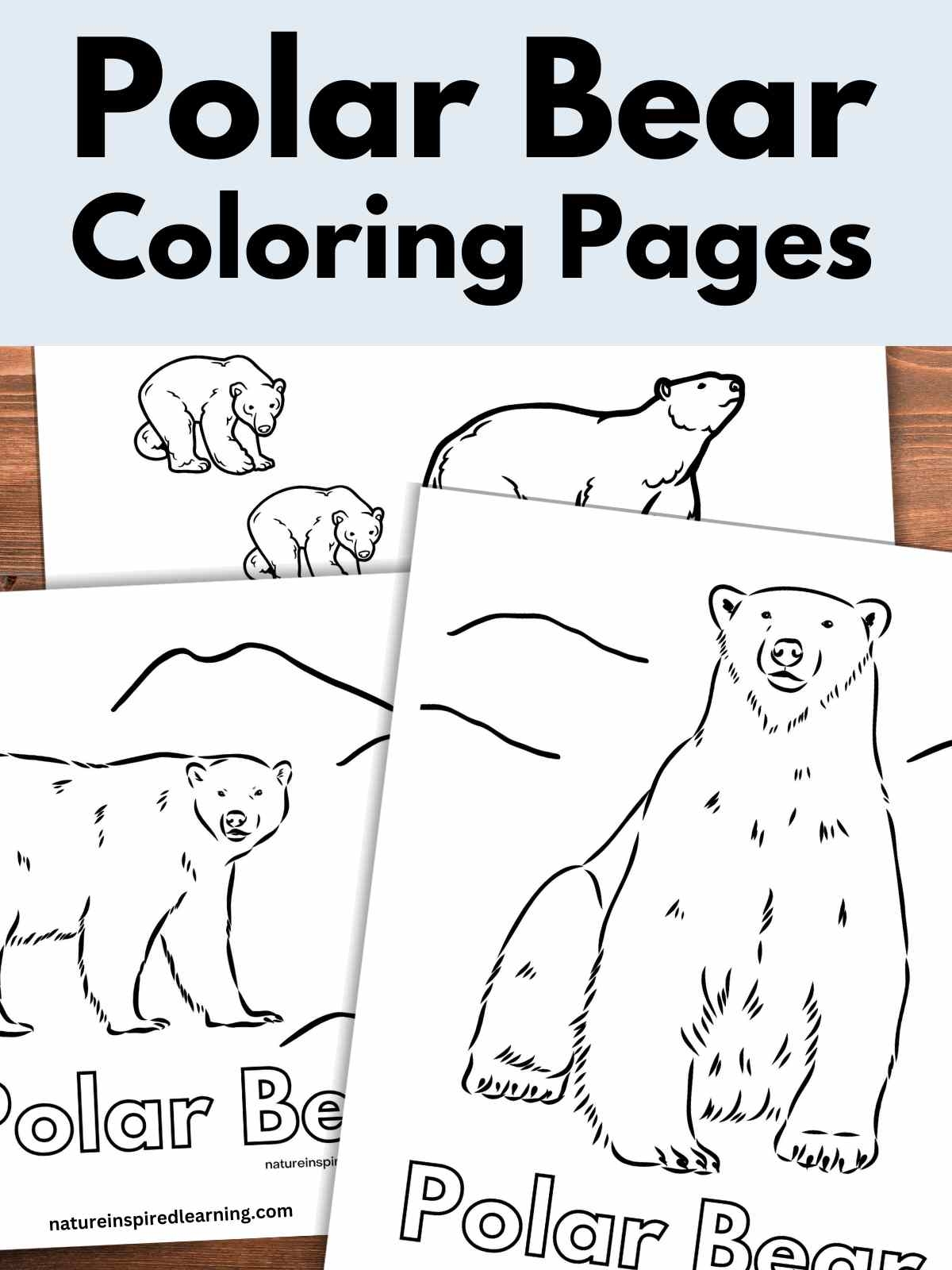 Polar Bear Coloring Pages Printable