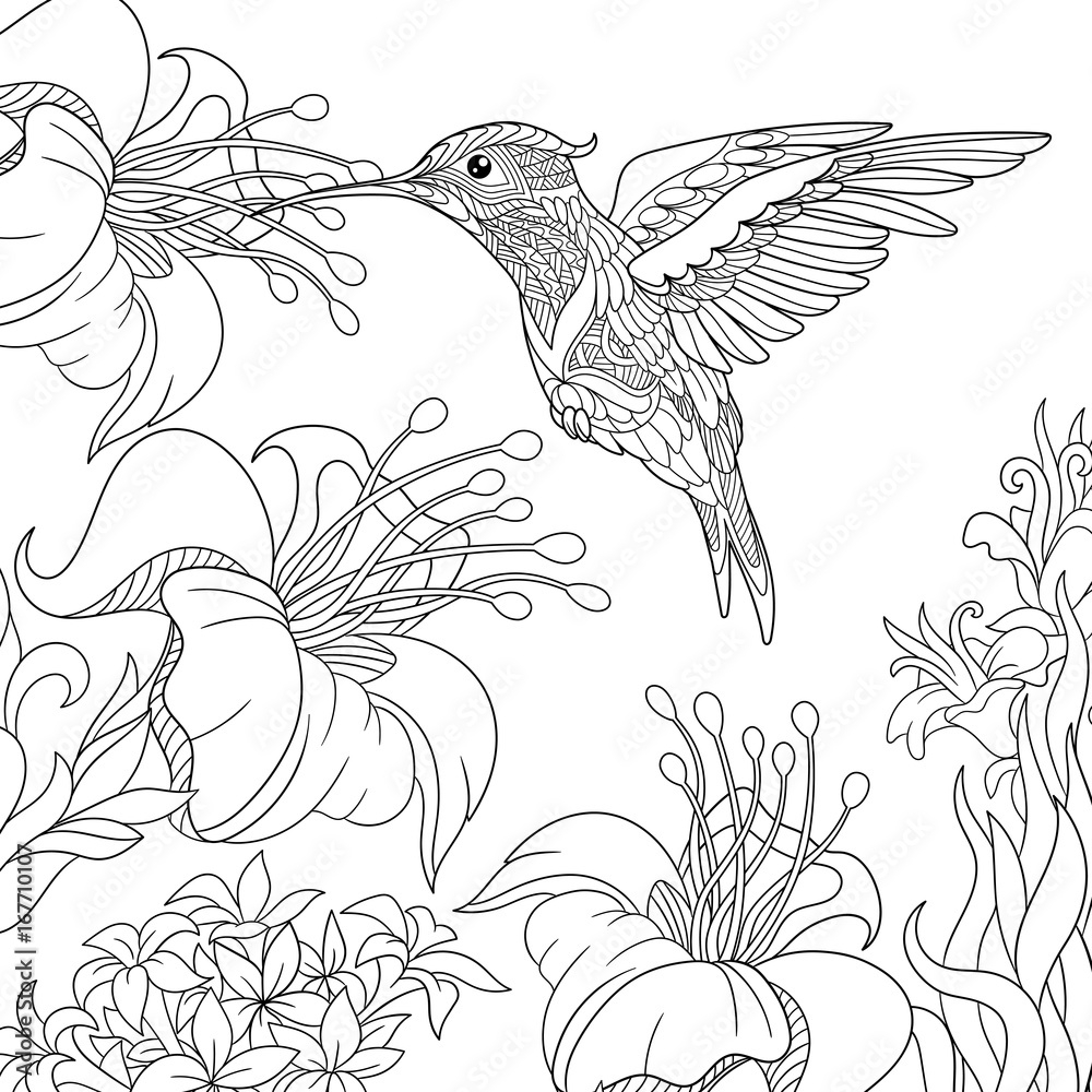 Poster Coloring Page Of Hummingbird And Hibiscus Flowers Wall Art UkPosters
