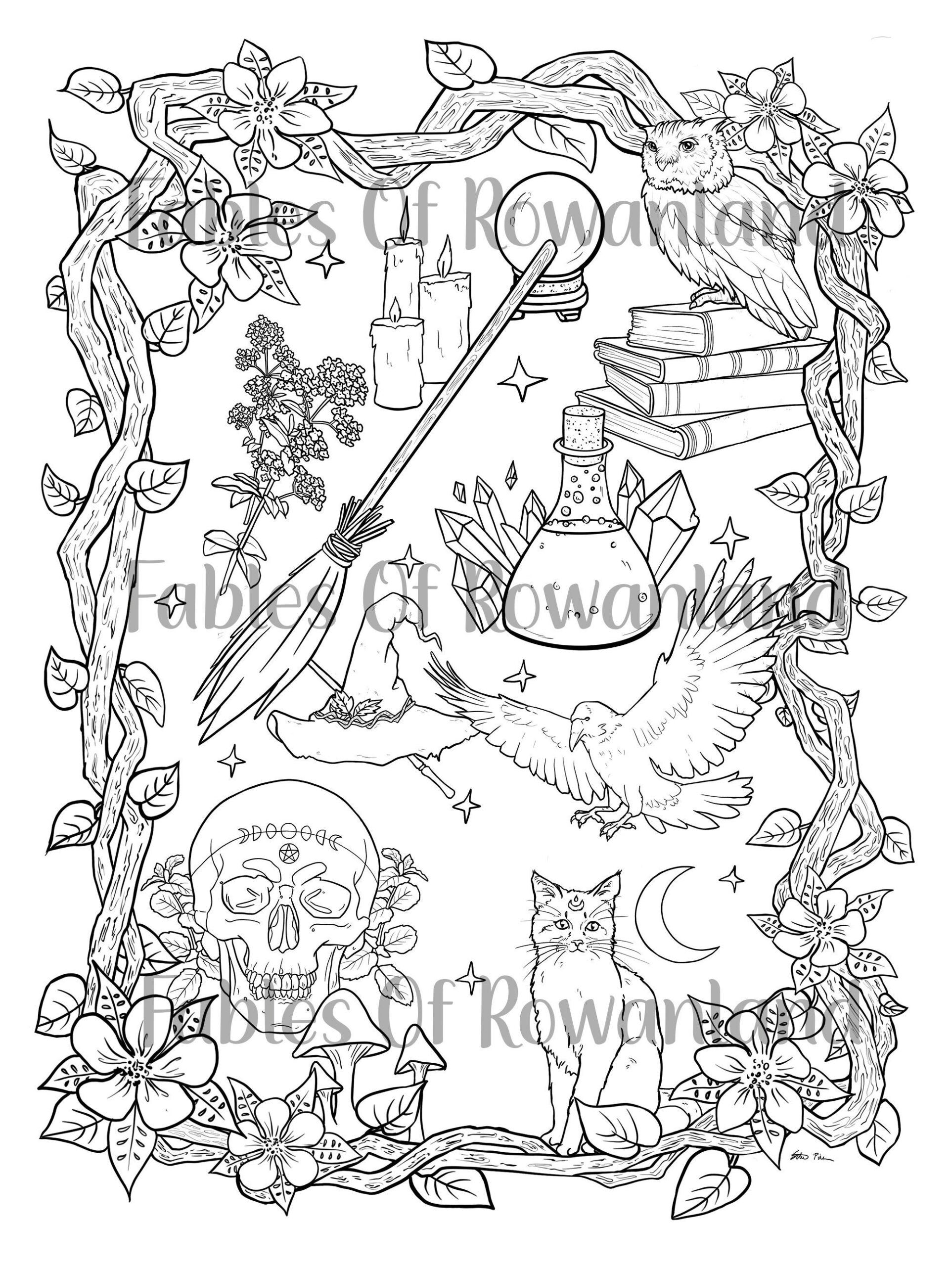 Practical Magic Beginner Witch Coloring Pages Aesthetic Adult Coloring Page Dark Fantasy Art Etsy Australia