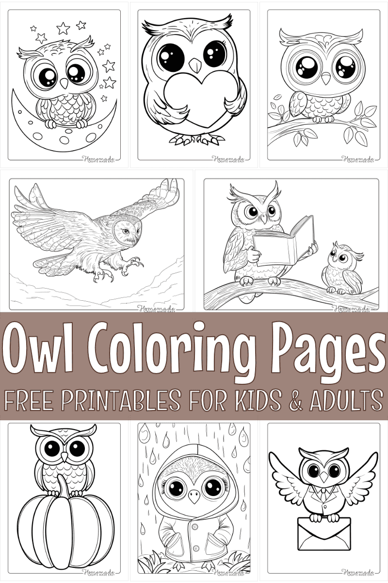 Free Printable Coloring Pages Of Owls