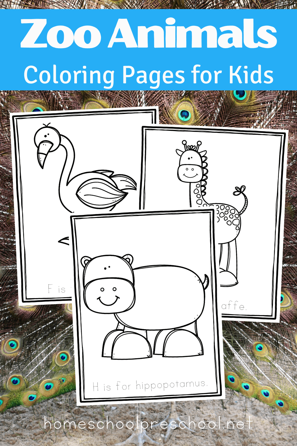 Printable Zoo Animal Coloring Pages For Preschool