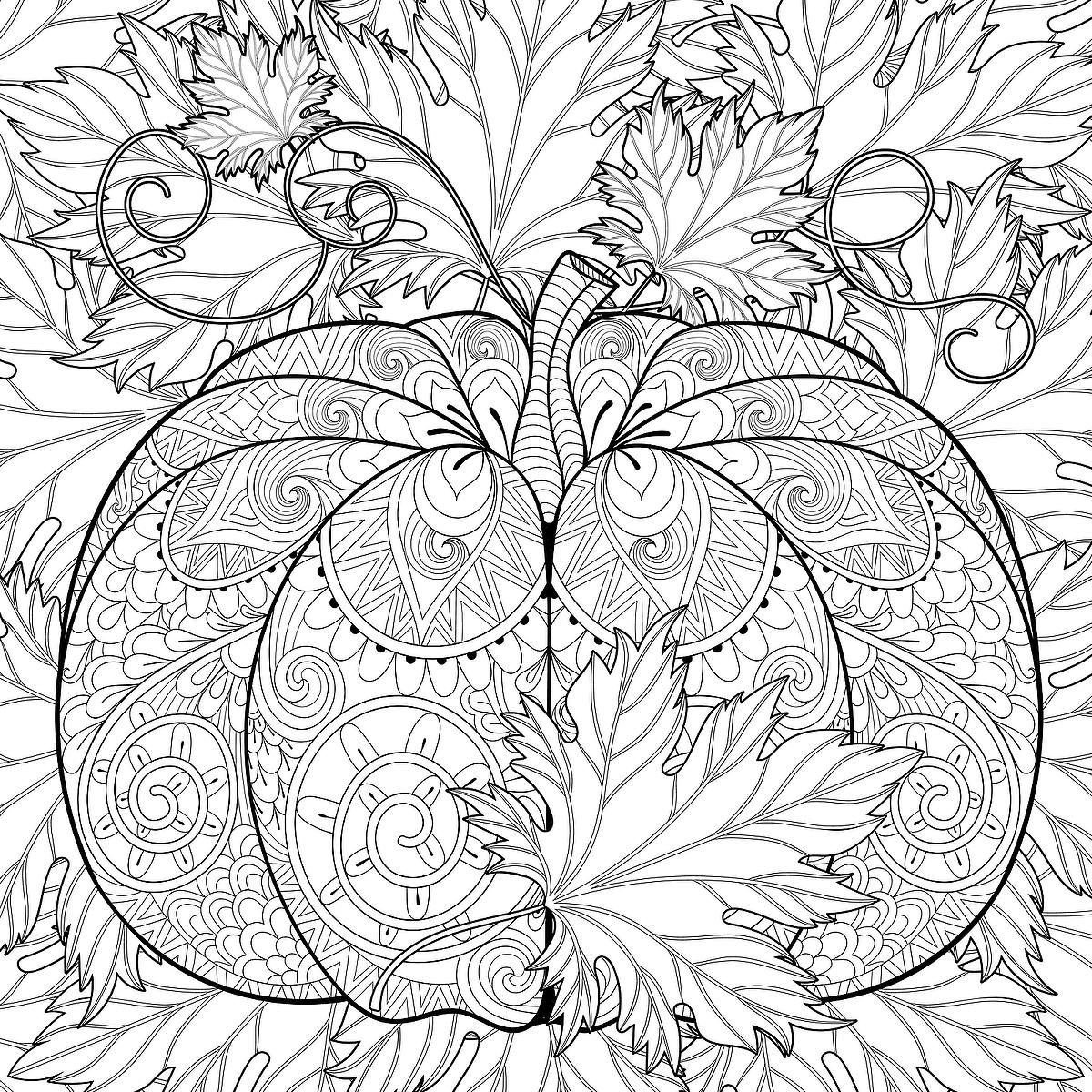 Pumpkin Coloring Pages Fun Printable Coloring Pages Of Pumpkins That Celebrate Fall Printables 30Seconds Mom