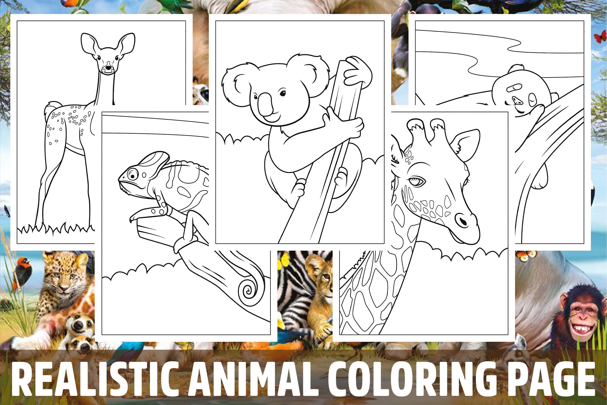Realistic Animal Coloring Pages For Kids Girls Boys Teens Activity School Made By Teachers