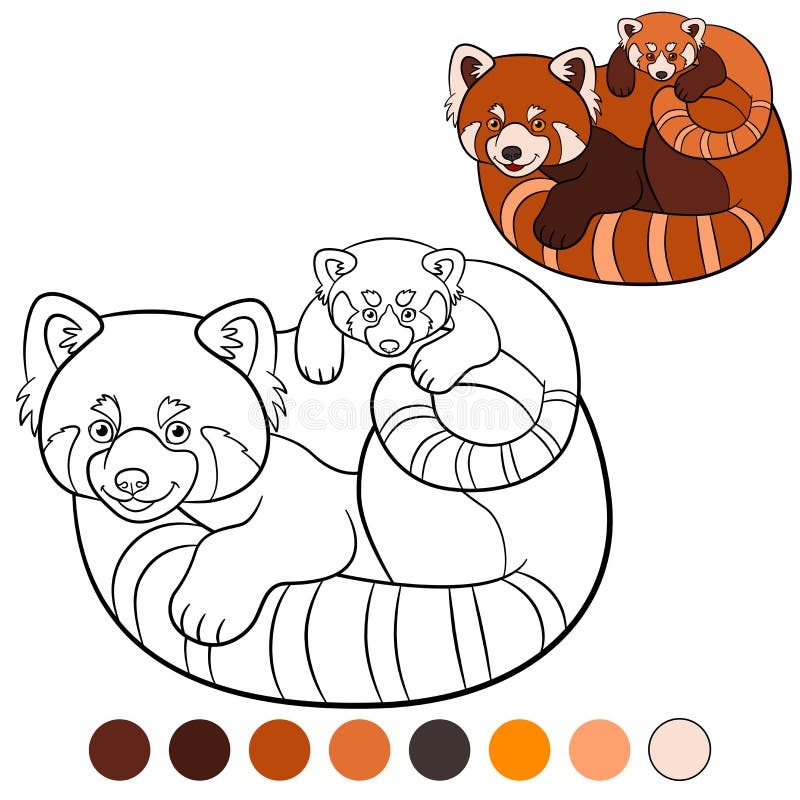 Red Panda Coloring Page Stock Illustrations 216 Red Panda Coloring Page Stock Illustrations Vectors Clipart Dreamstime