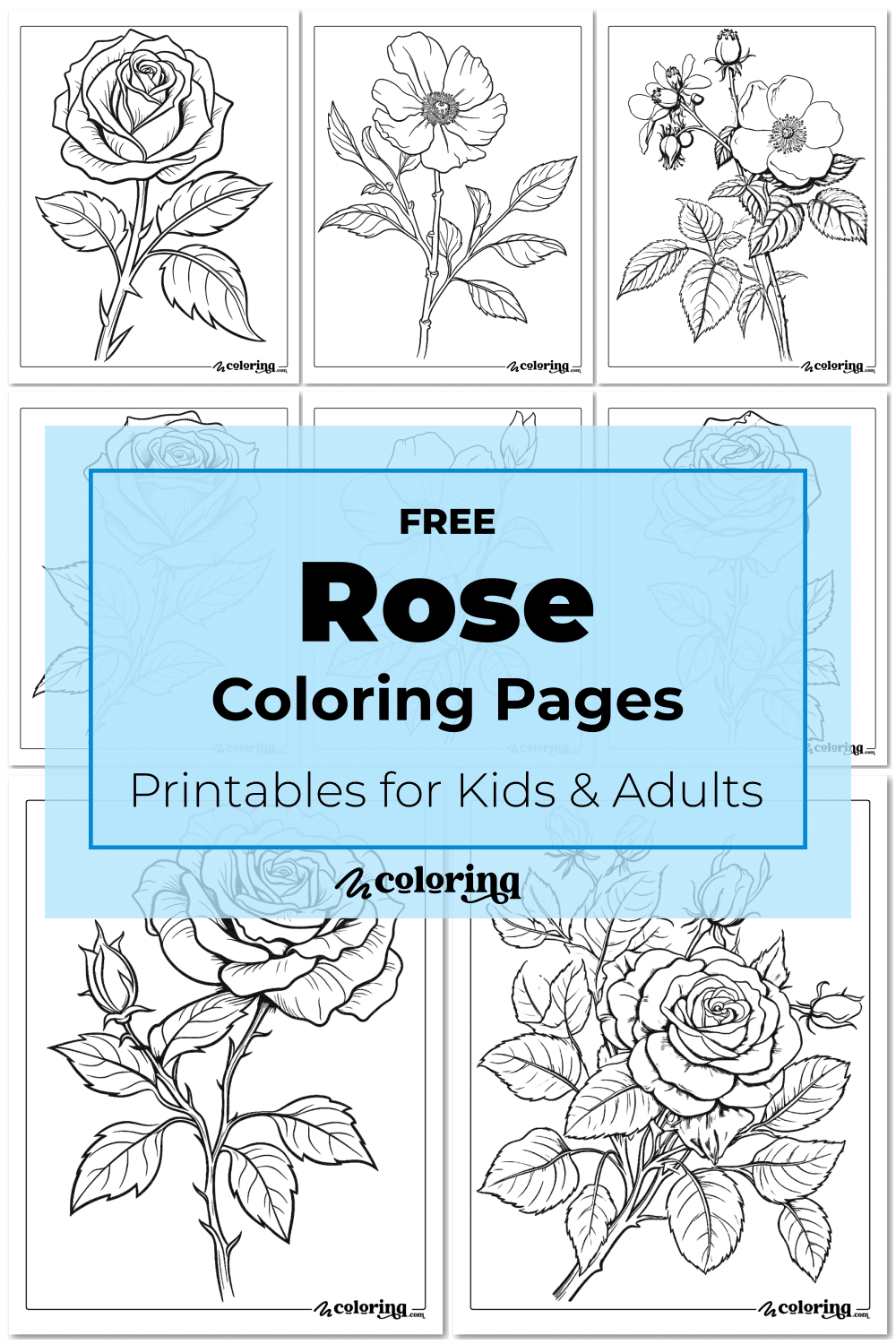 Roses Coloring Pages Printable
