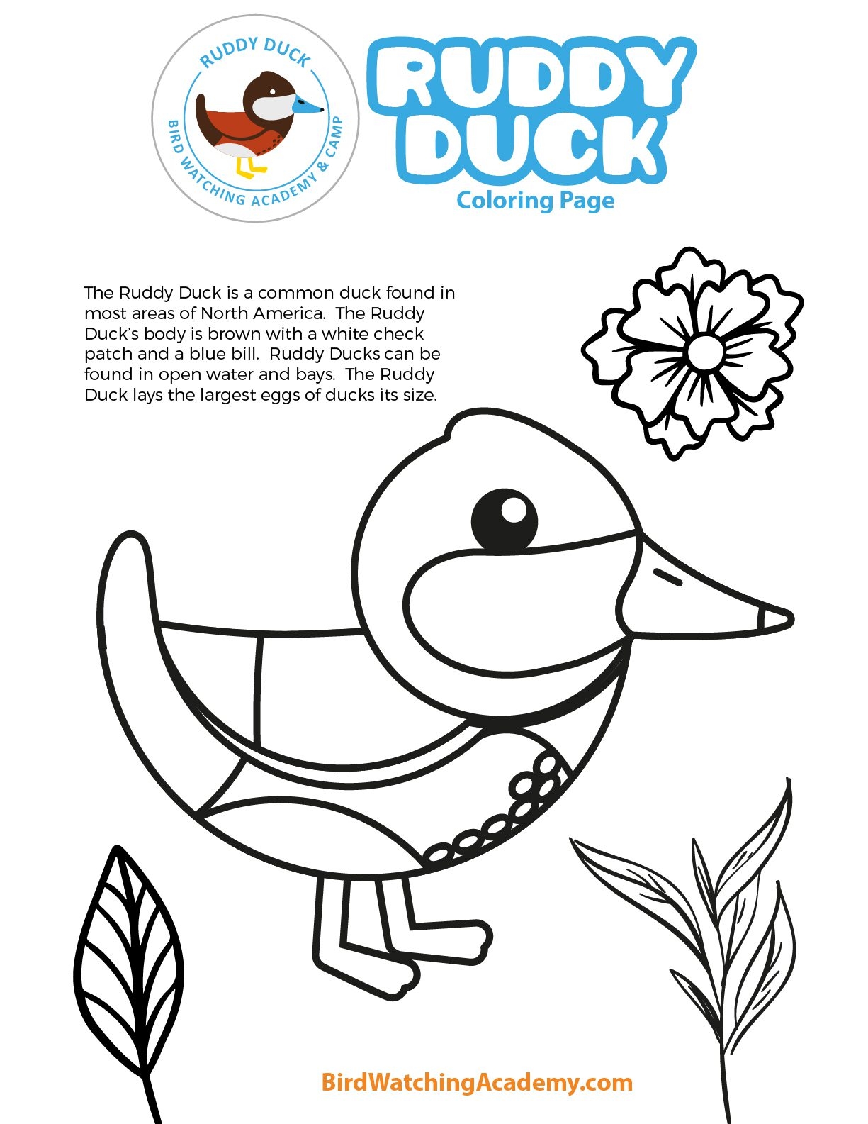 Free Coloring Pages Ducks