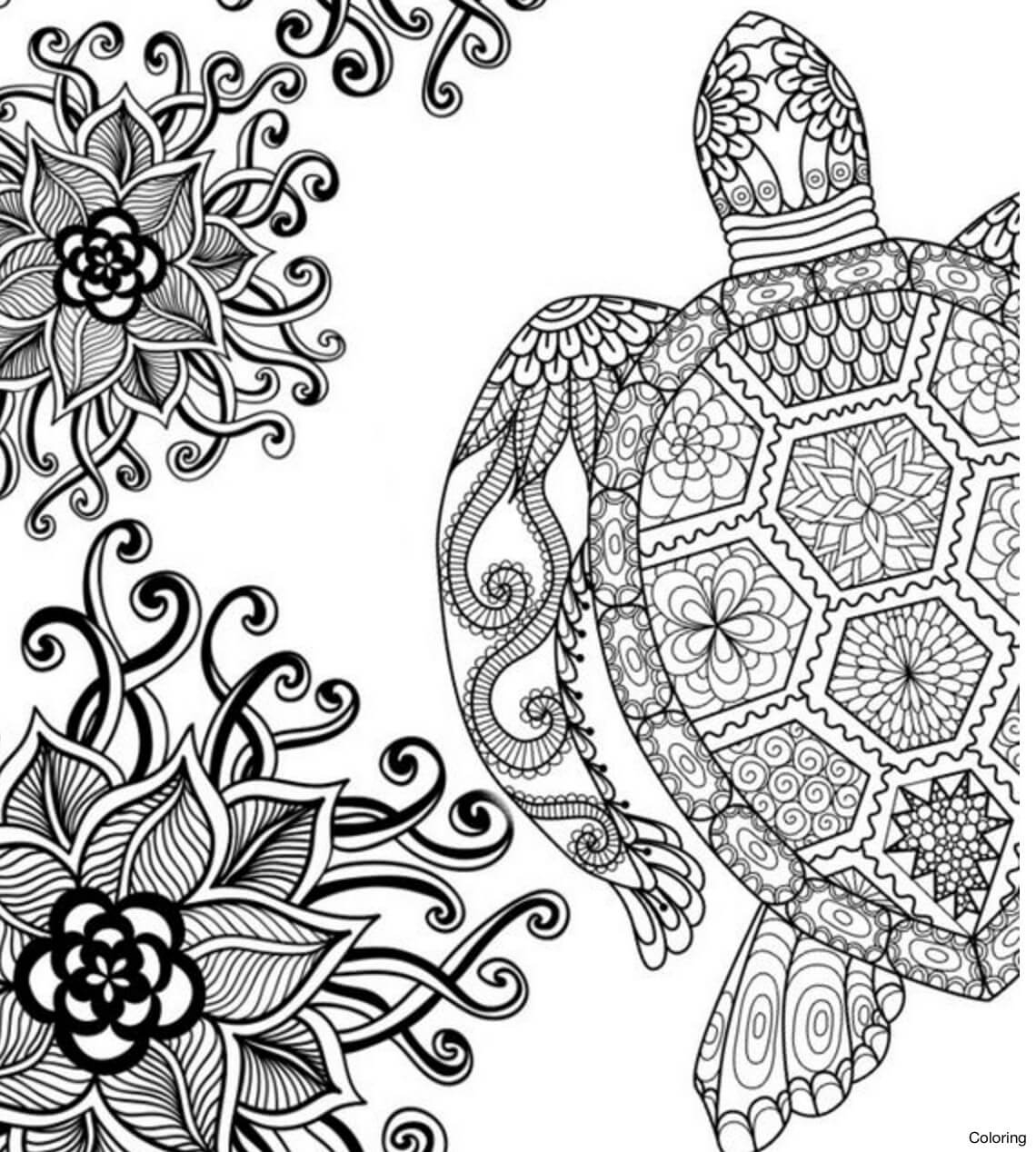 Sea Turtle Coloring Pages Printable Coloring Pages FREE