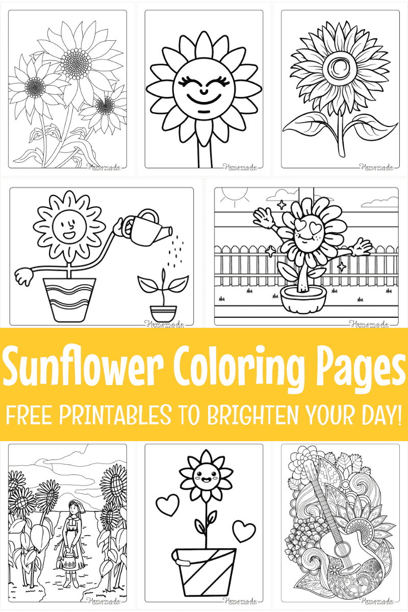 Sunflower Coloring Pages Printables For Kids And Adults Printable 