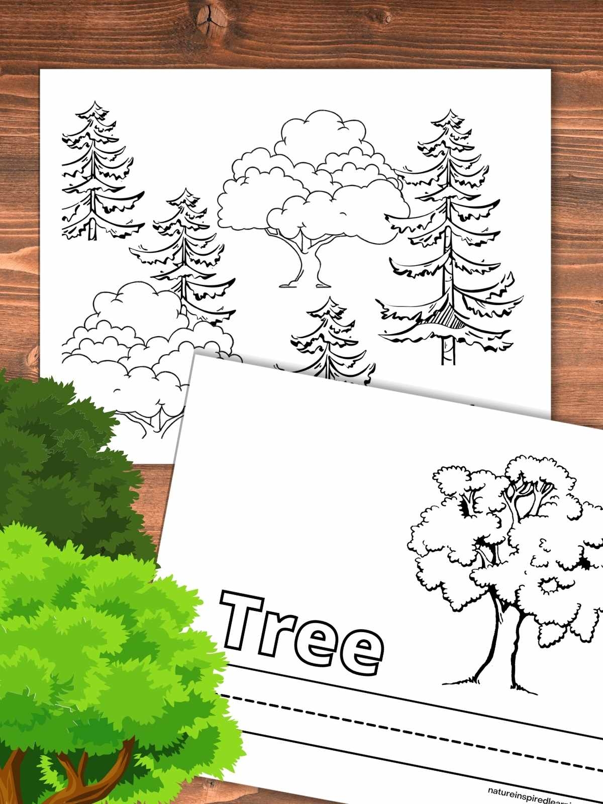 Tree Coloring Pages Nature Inspired Learning