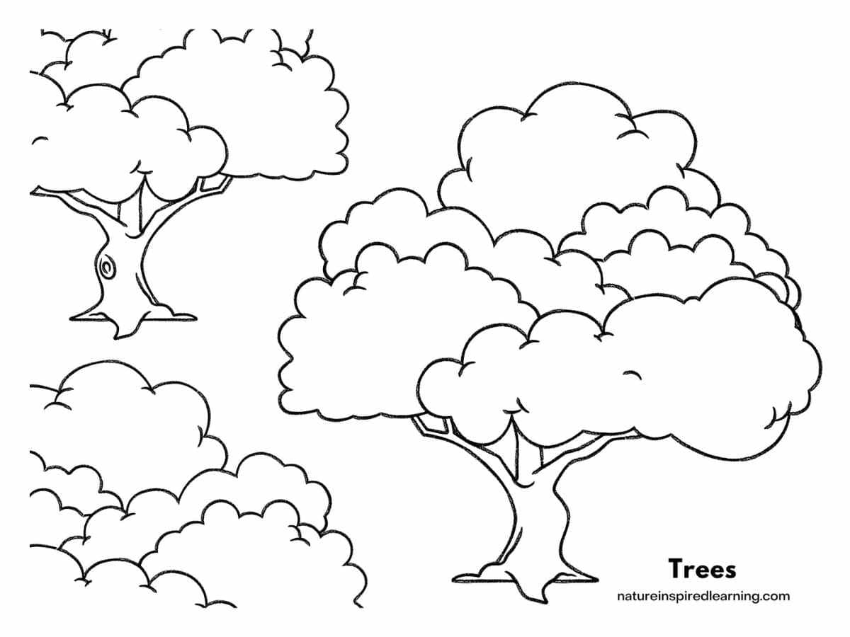 Free Printable Tree Coloring Pages