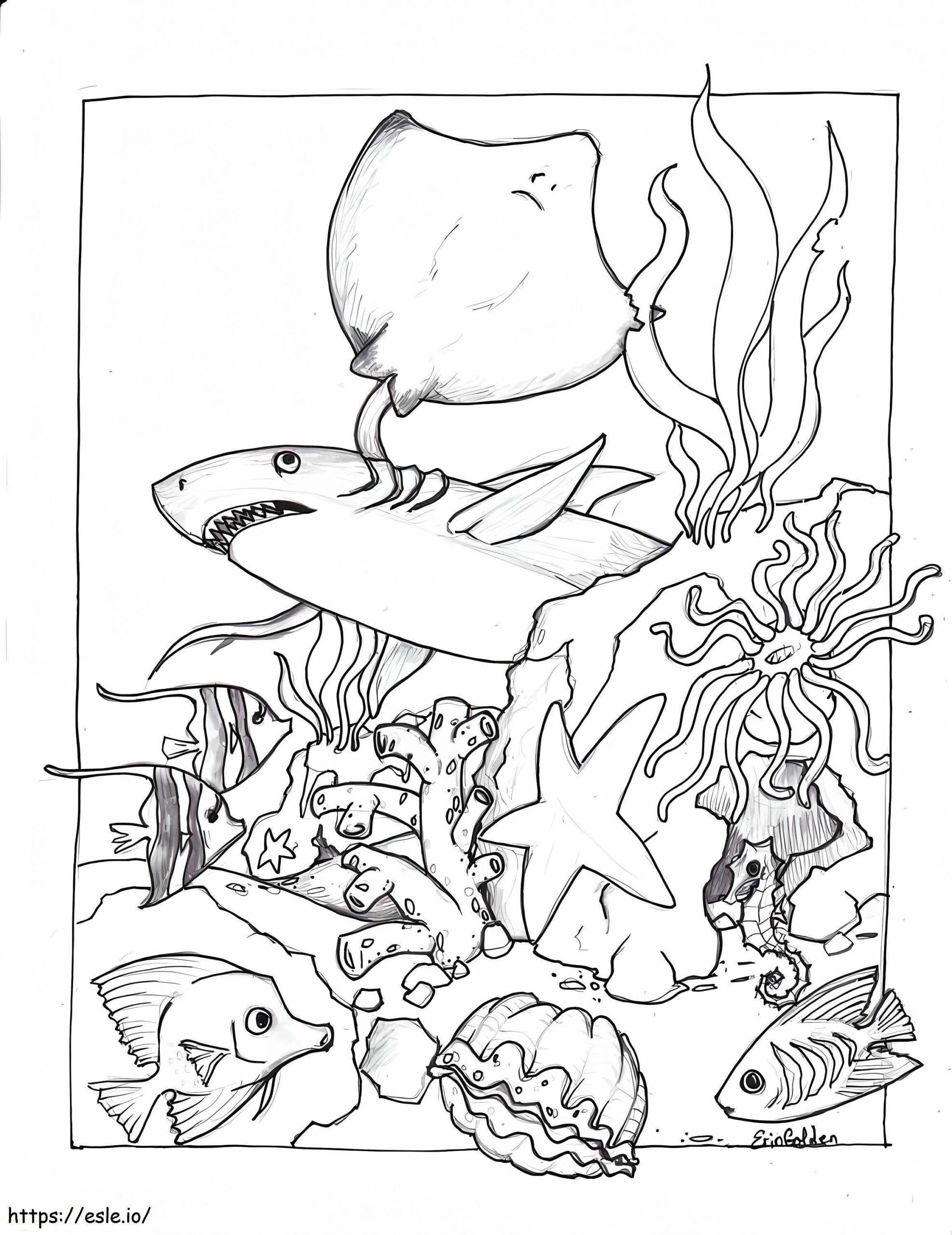 Sea Animal Coloring Pages Printable Free